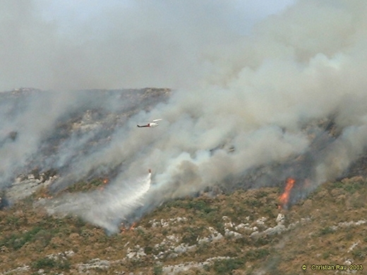 Incendie du Néron, août 2003