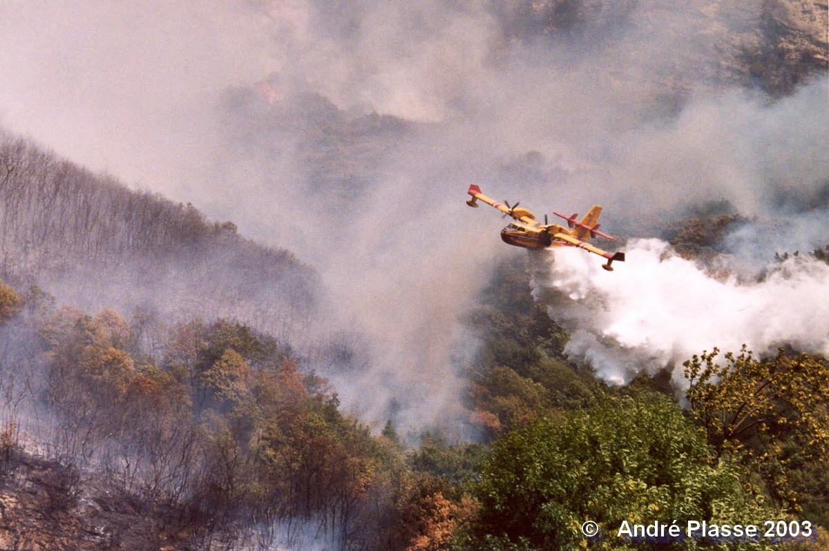 Un canadair à l'ouvrage sur les flancs du Néron - Photo de André Plasse - 2003