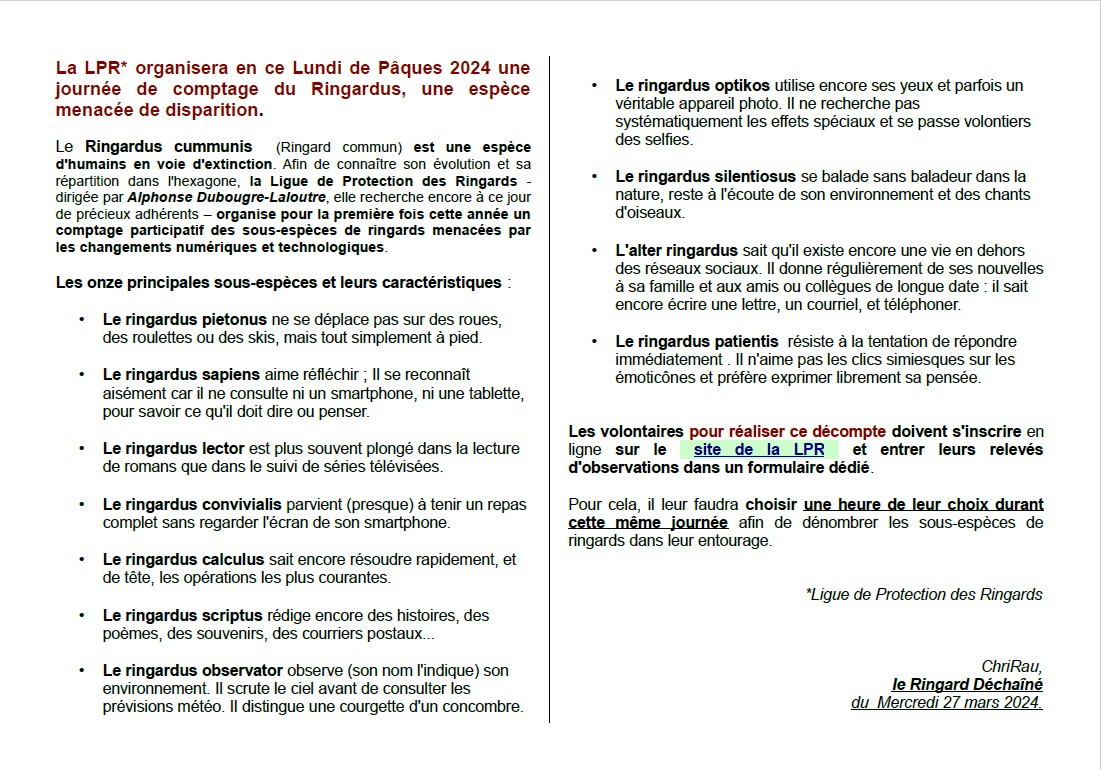 Article du Ringard Dechaine - C.Rau- Comptage des Ringards-2024-LPR