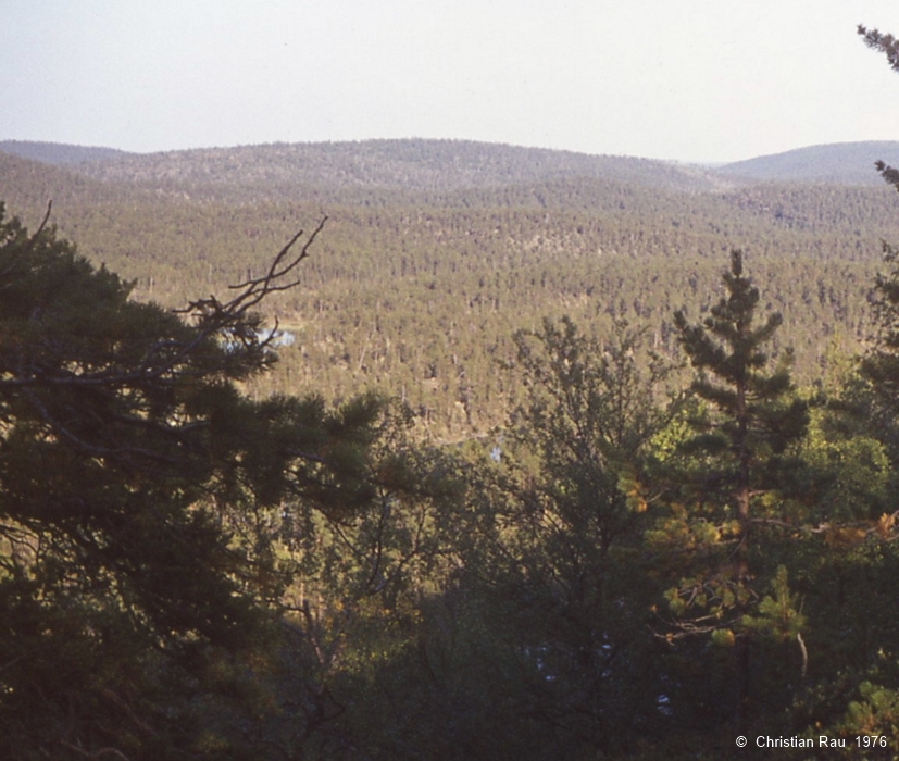 Inari - Ivalo...