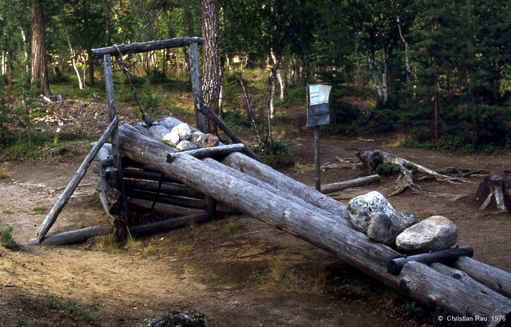 Piège à loups Piège à loups