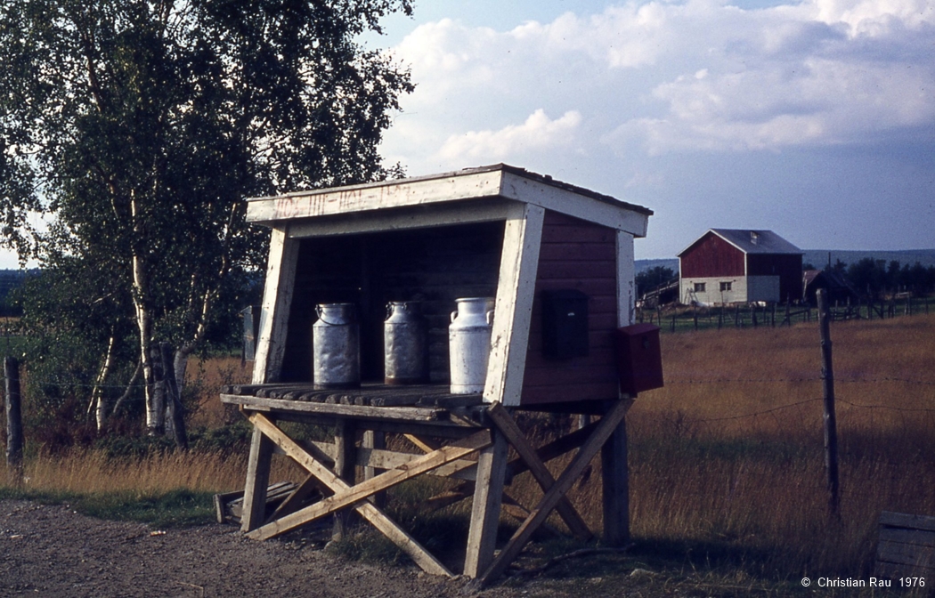 Le ramassage du lait est organisé, au bord de la piste...