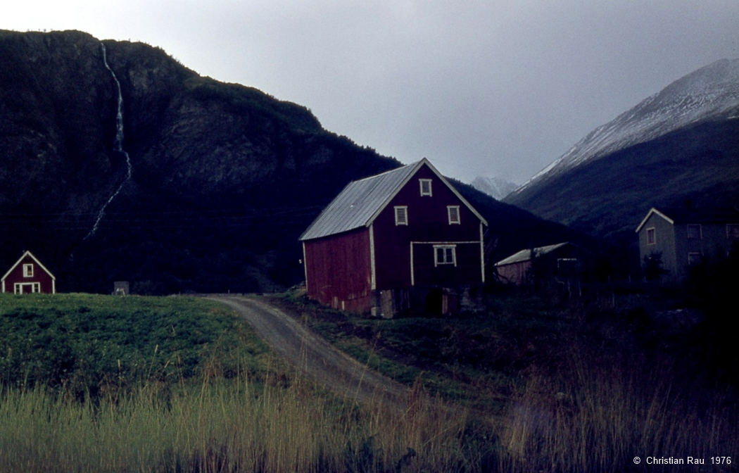 Lyngen  (Fjord)