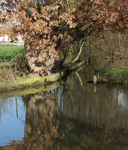 Aux Pêcheries (Arras-Ste-Catherine)