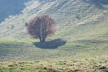 Plateau de la Mollière (Vercors)