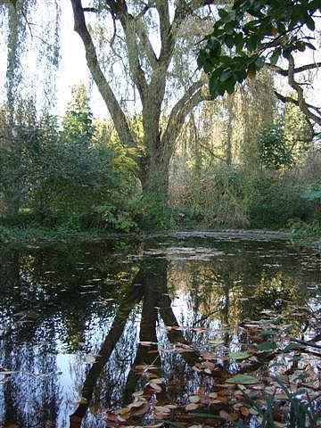 Arboretum de Saint-Martin d'Hères - octobre 2008