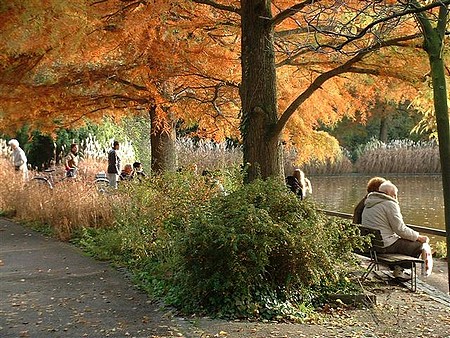 Lumières de feu dans le parc de Karlsruhe