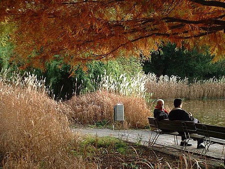 Lumières de feu dans le parc de Karlsruhe