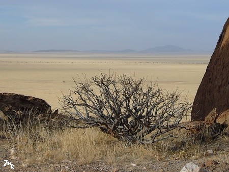 Les Inselberg granitiques de Mirabib