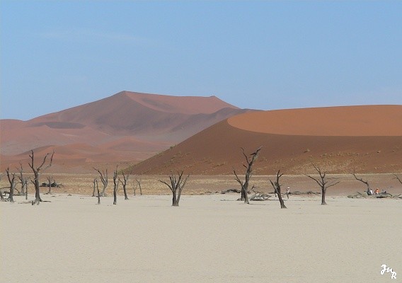 Deadvlei et ses arbres millénaires fossilisés