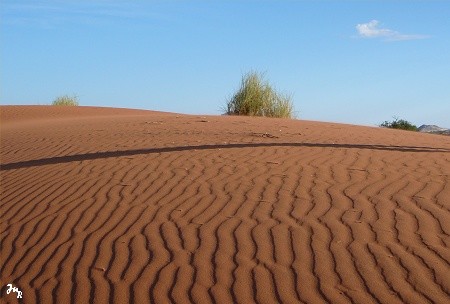 Vagues de sable sur une dune rouge...
