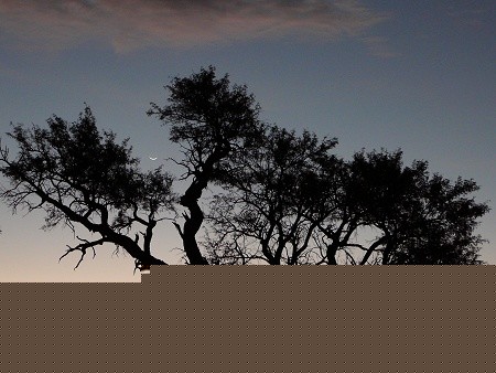 Clair de Lune namibien