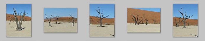 Deadvlei, forêt d’arbres fossiles, morts depuis 1000 ans
