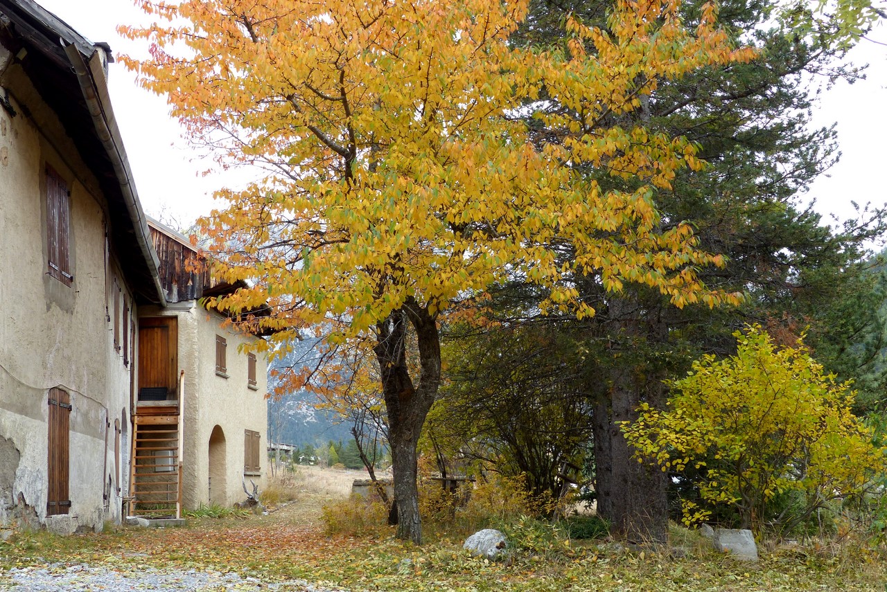 le Cros - C. Rau - octobre 2017