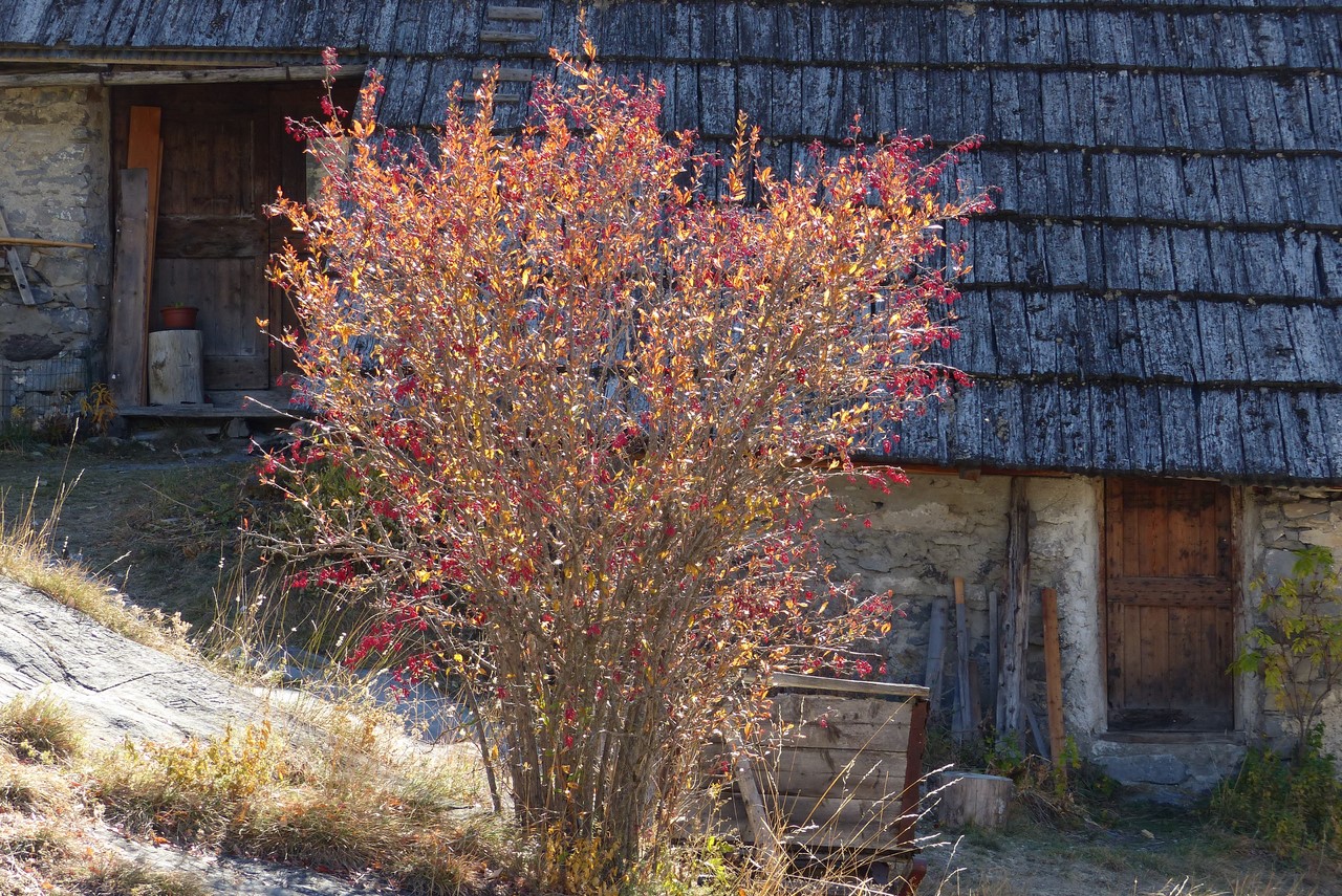 Plampinet - © C. Rau - octobre 2017