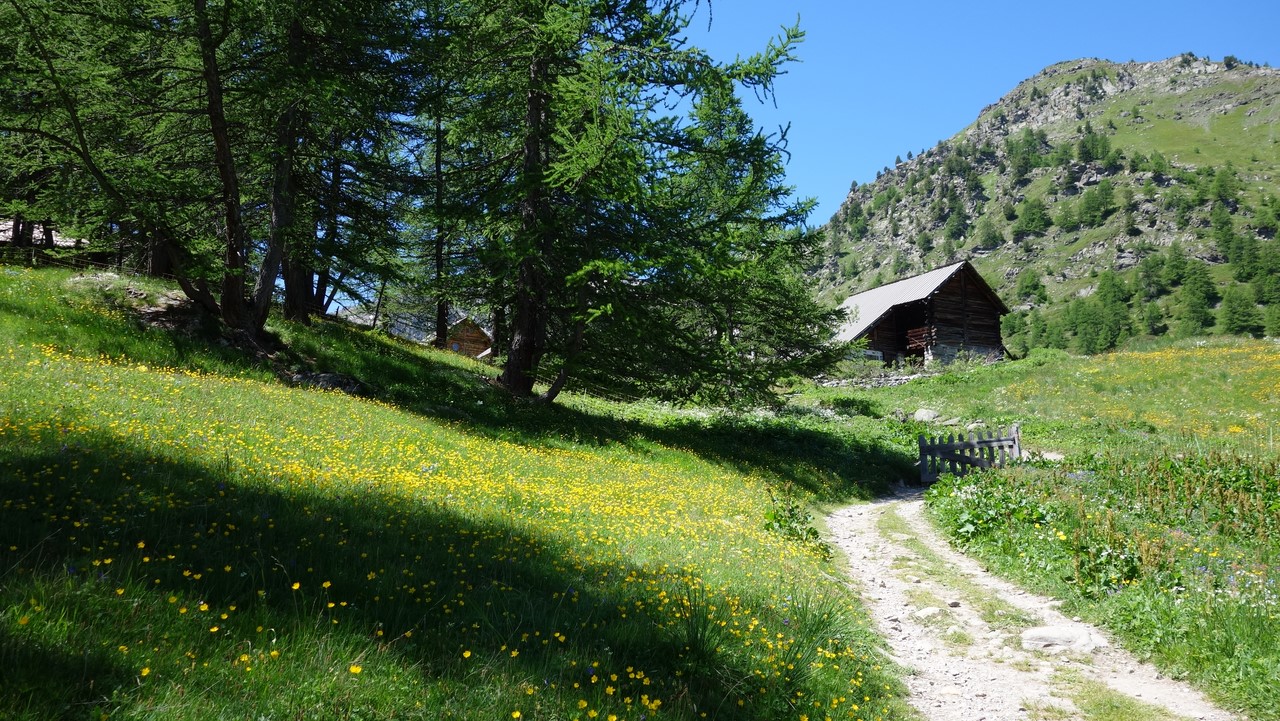 Chalets de Buffère - Haute-Vallée - C. Rau 06/2016