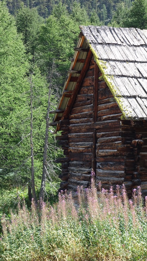 Chalets de Laraux (Haute-Vallée) - C. Rau 08/2016