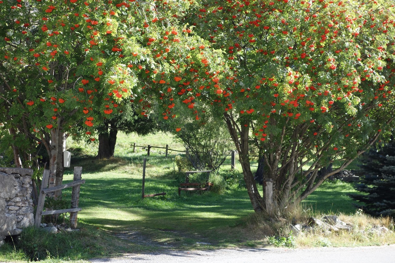 Ville Haute - C. Rau  - septembre 2016