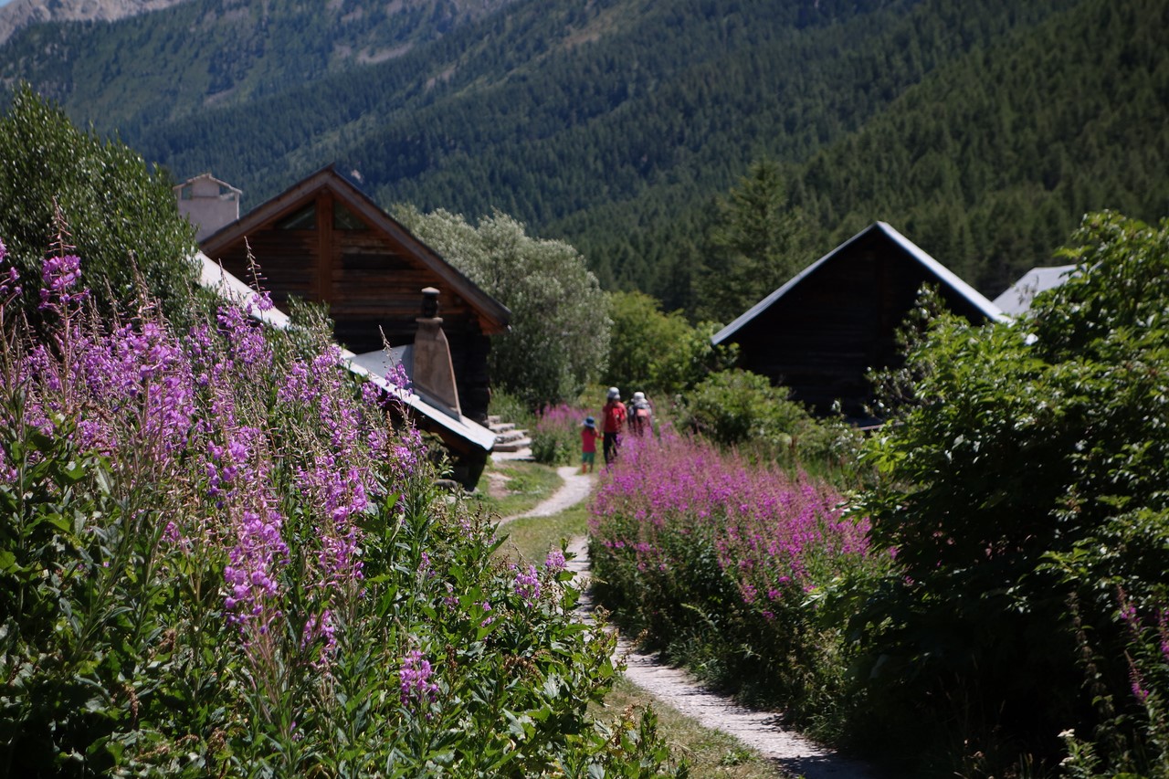 Hameau de la Meuille - Haute-Vallée - C. Rau 07/2017