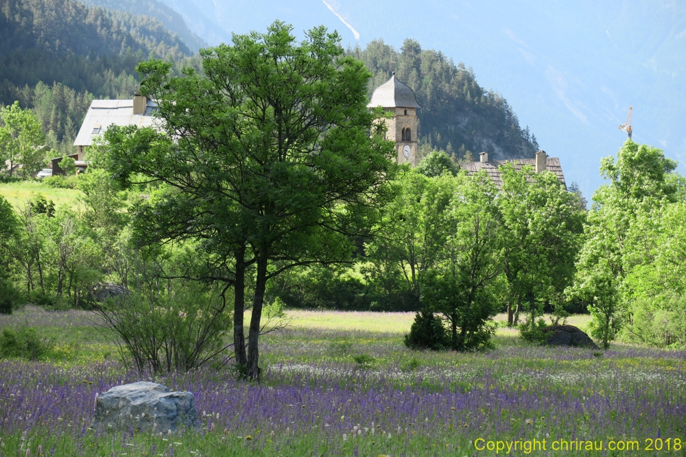 Printemps à Plampinet - C. Rau 06/2018