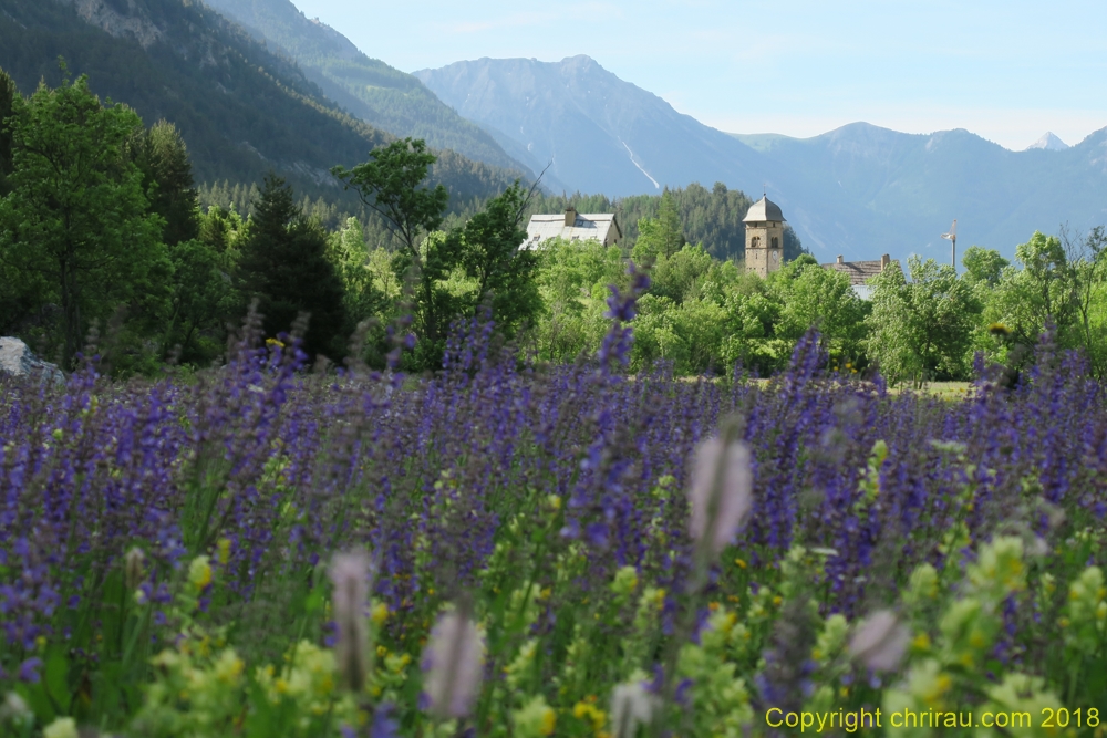 Printemps à Plampinet - C. Rau 06/2018