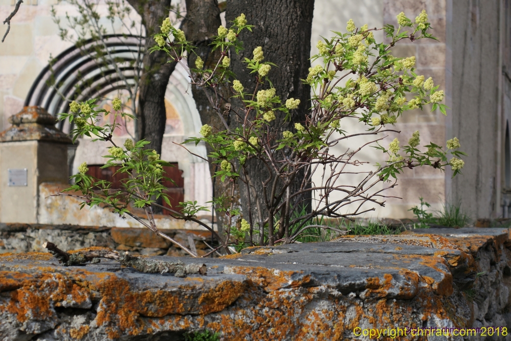 A Ville Haute, le printemps à St-Marcellin (2018)