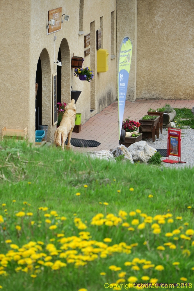 Printemps à l'Epicerie Név'Alpine... C. Rau 05/2018