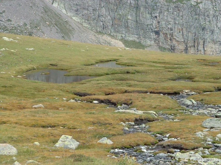 Le Lac du Chardonnet, en contrebas du refuge - C. Rau 2002-08