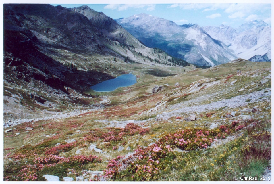 Lac de Cristol, juillet 2000 (diapositive) - C. Rau Lac de Cristol, juillet 2000 (diapositive) - C. Rau