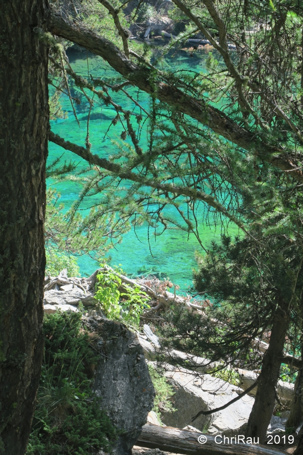 Lac Vert - C. Rau 2019-08 Lac Vert - C. Rau 2019-08