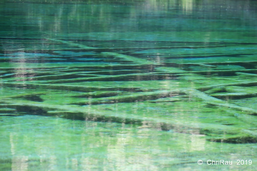 Lac Vert - C. Rau 2019-08 Lac Vert - C. Rau 2019-08