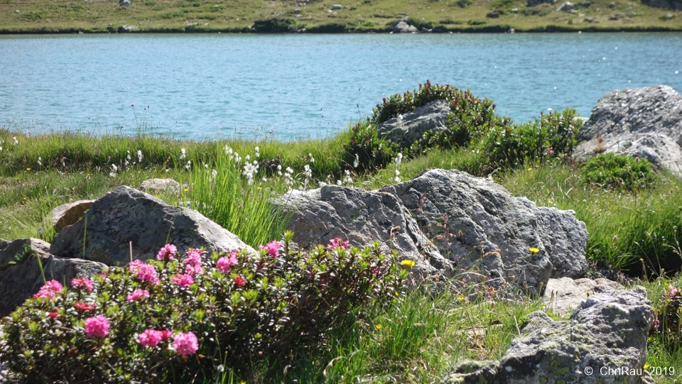 Lacs de l'Oule - C. Rau 2015-07 Lacs de l'Oule - C. Rau 2015-07