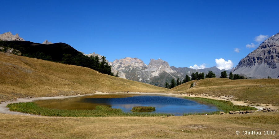 Lac Chavillon (2194 m.) - © C. Rau 2016-08 Lac Chavillon (2194 m.) - © C. Rau 2016-08