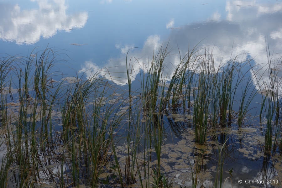 Lac Chavillon (2194 m.) - © C. Rau 2016-08