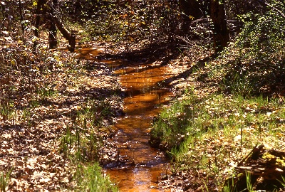 Ruisseau chargé d'ocre près de l'ancienne usine Matthieu Ruisseau chargé d'ocre près de l'ancienne usine Matthieu