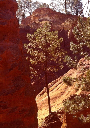 Terres d'ocres de Roussillon