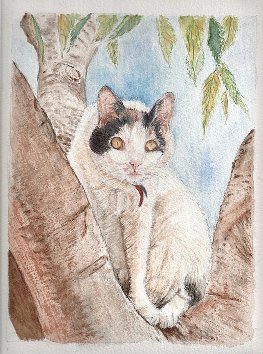 Chat de Ventabren, aquarelle. © Christiane Rau, 2009-10