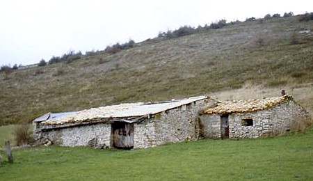 La maison de Crésus