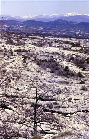 Le paysage des Mourres, près de Forcalquier. Au fond : les Alpes de Digne...