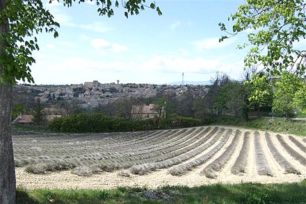 Valensole