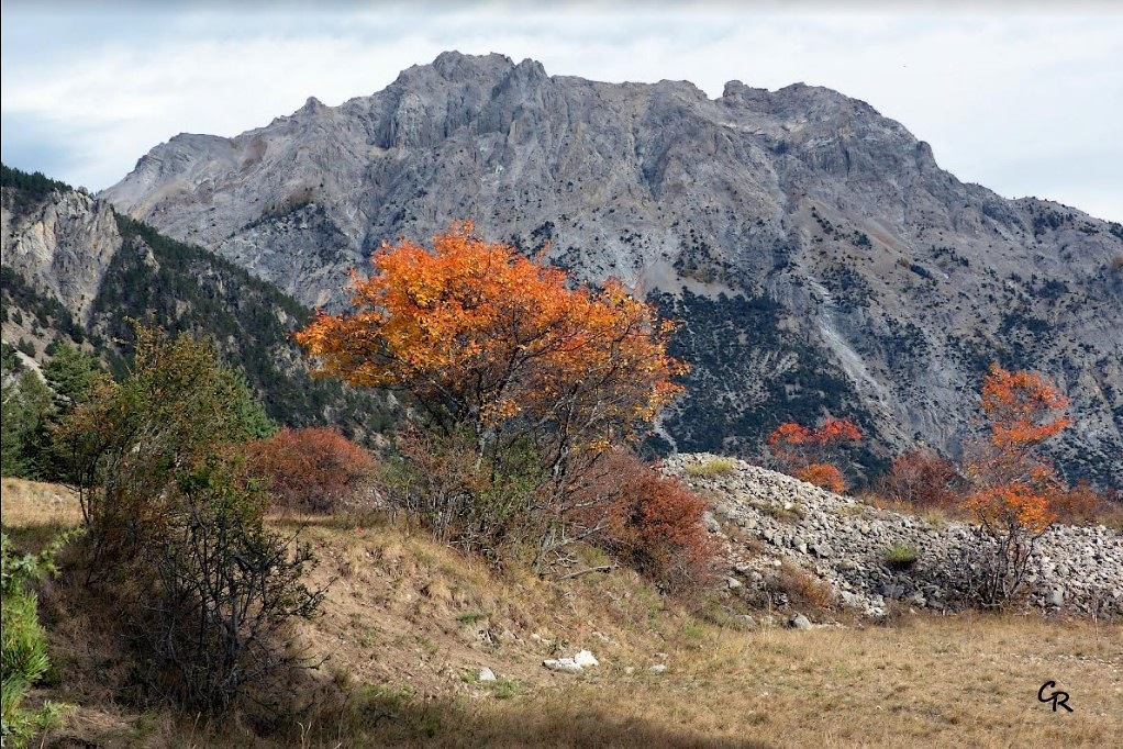 Nouveauté 2017-11 - Automne - Le Guiau - C Rau