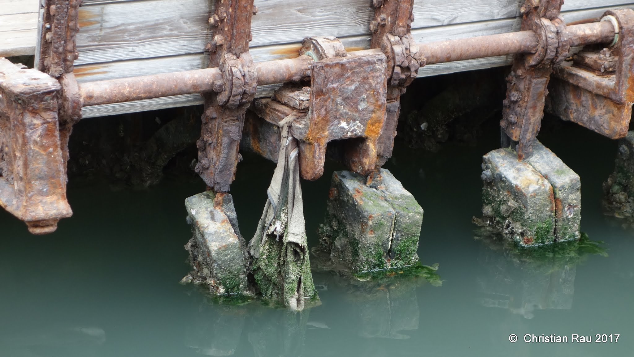 Erosion sur le canal des Giardini ex Reali