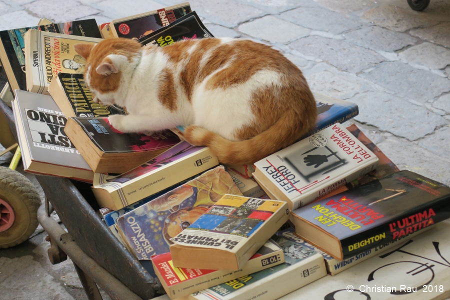 Librairie "Acqua Alta" dans le Castello