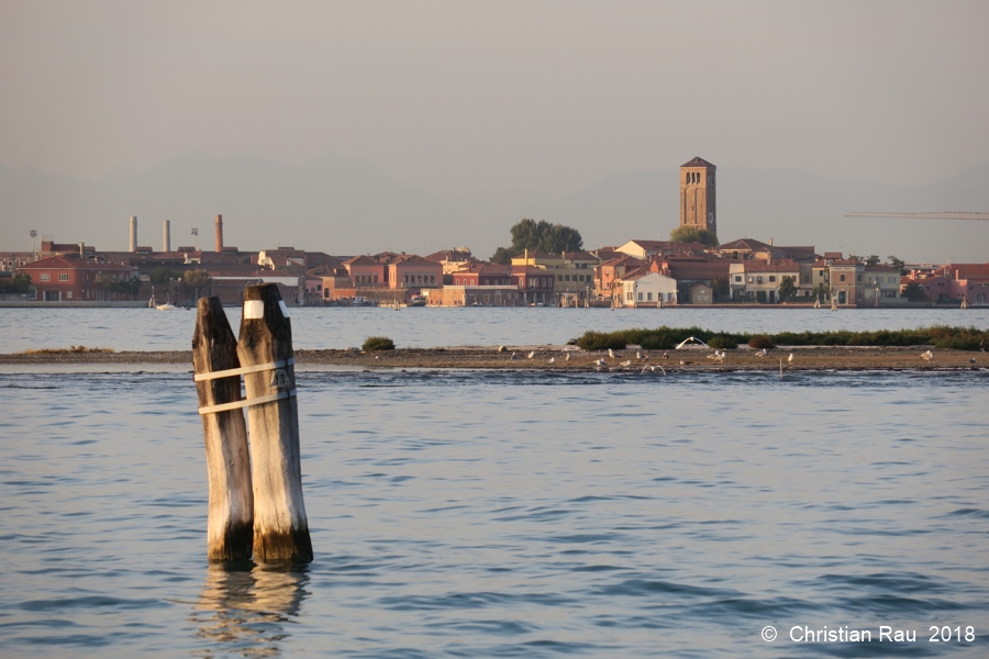 La lagune... (Murano, derrière une barène)