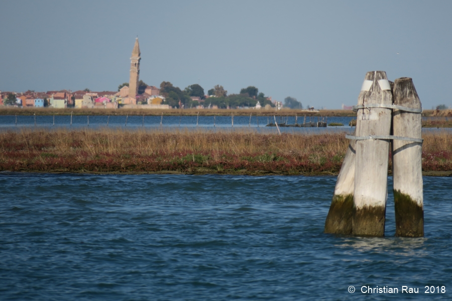 Barene de la lagune (au fond : Burano !)