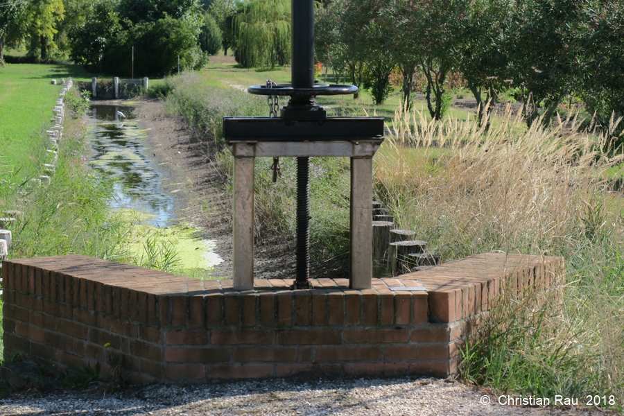 Les cultures de Sant-Erasmo