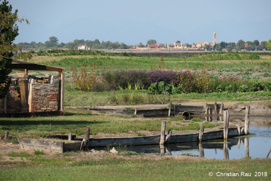 Les cultures de Sant-Erasmo