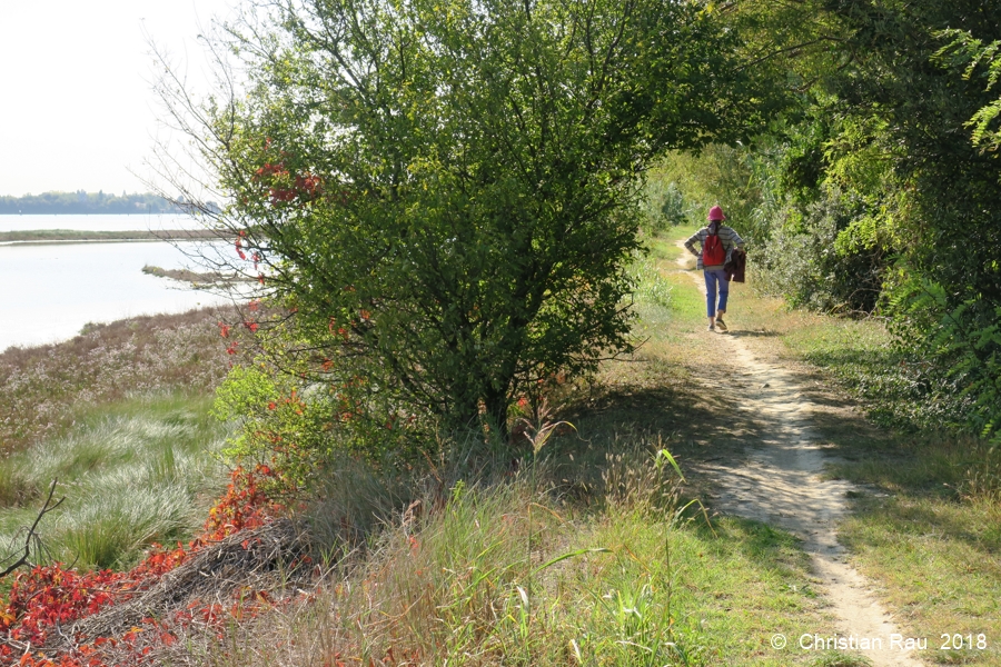 Le sentier littoral de la côte sud de Sant-Erasmo