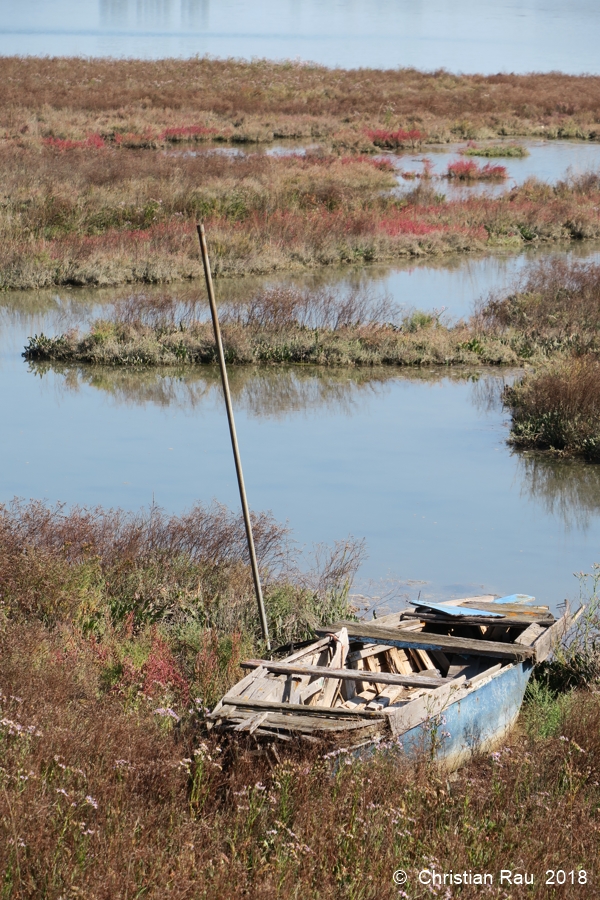 Le sentier littoral de la côte sud de Sant-Erasmo