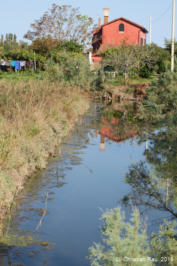 Exploitation sur l'île de Sant-Erasmo